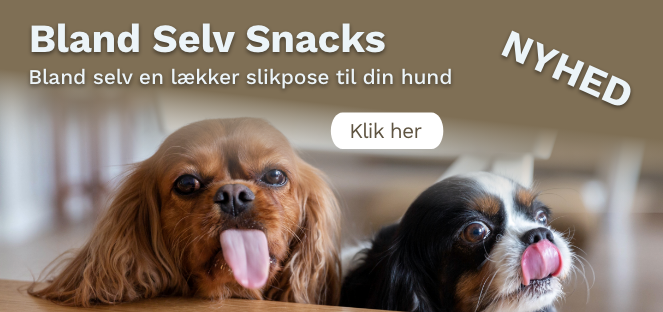 Bland selv snacks til din hund på hunique.dk
