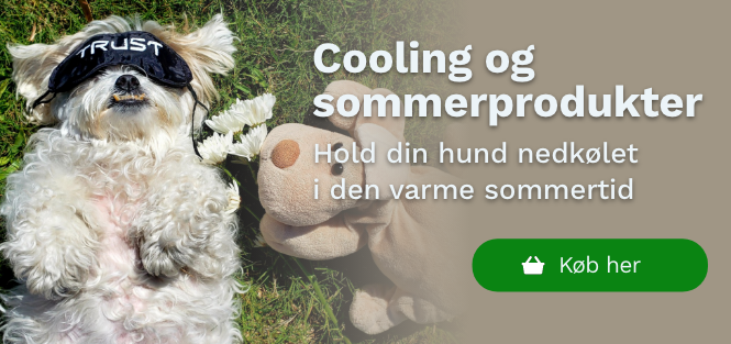 Cooling og sommerprodukter på hunique.dk