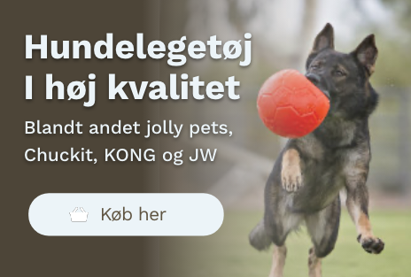 Kvalitetslegetøj til din hund