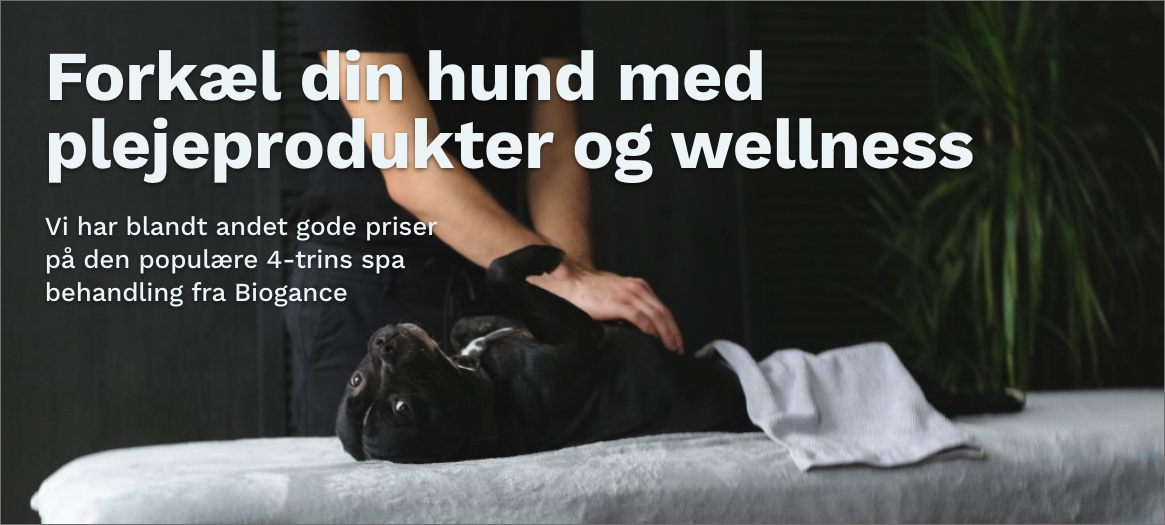 Forkæl din hund med wellness produkter fra hunique