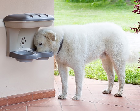 Foder stander opbevaring | hunique.dk Unik og service til dig og din hund