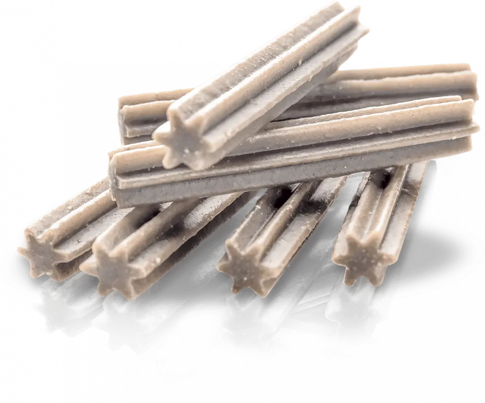 Essential Dental Delights