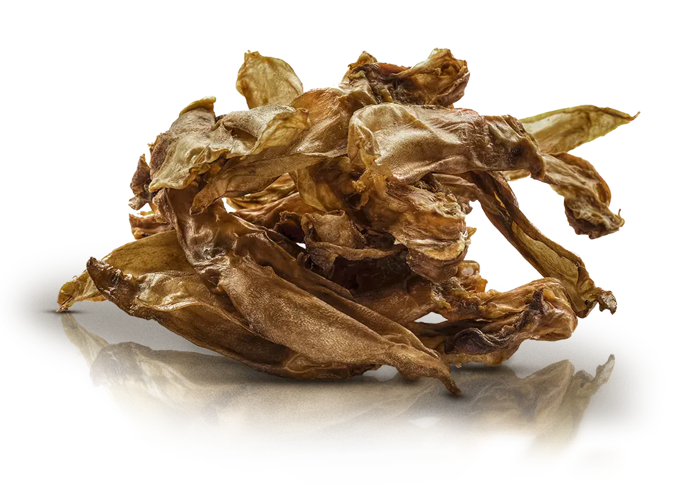 Essential Rabbit Delights på hunique.dk