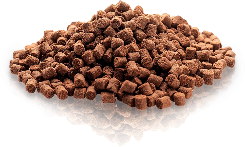 Essential Motivation Delights