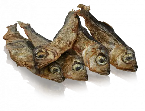 ESSENTIAL TINY FISH DELIGHTS på hunique.dk