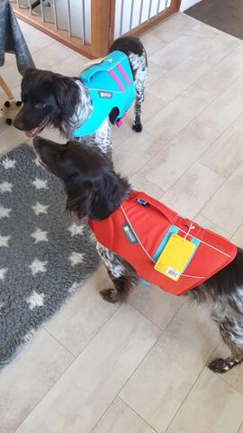 Ruffwear redningsvest på Hunique.dk