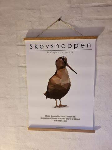 Plakat på Hunique.dk