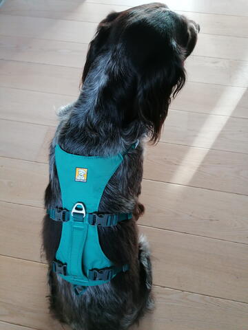 Ruffwear Flagline™ Harness på Hunique.dk