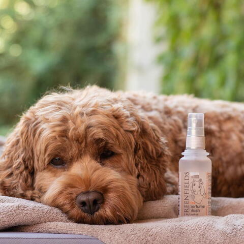 Greenfields Parfume - Blush, 75ml på hunique.dk