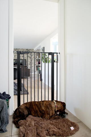 DOGSPACE BONNIE EXTRA TALL PRESSURE FITTED PET GATE, BLACK på hunique.dk