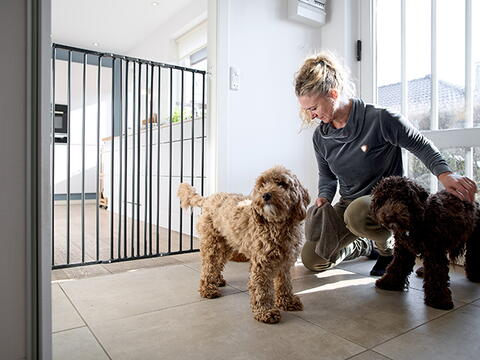 DOGSPACE CHARLIE EXTRA TALL EXTENDING PET GATE, BLACK på hunique.dk