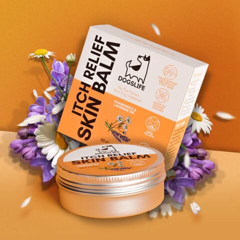 Dogslife Kløestillende creme 60ml på hunique.dk