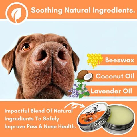 Dogslife Pote og næsecreme 60ml på hunique.dk