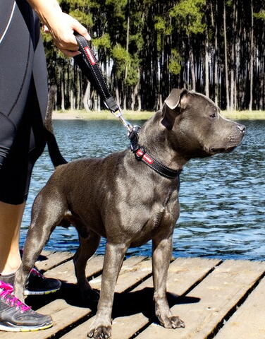 EzyDog Neo Mongrel Håndline på hunique.dk