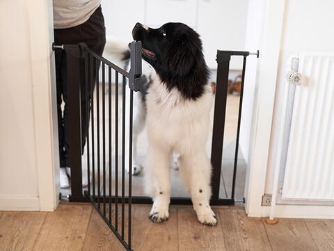 EXTENSION FOR DOGSPACE LASSIE PET GATE, BLACK 2X7CM på hunique.dk