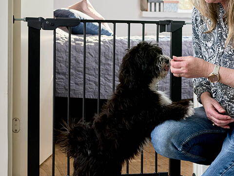 DOGSPACE LASSIE PRESSURE FITTED PET GATE, BLACK på hunique.dk