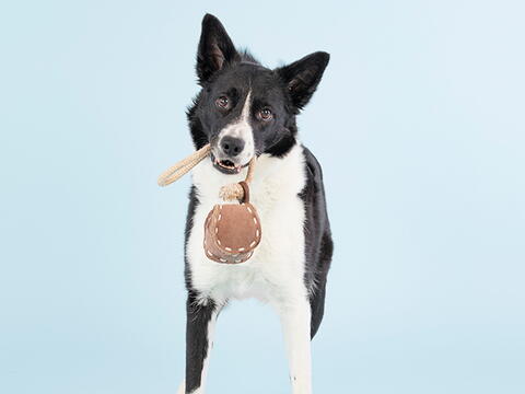 PAIKKA BALL TUG TOY på hunique.dk