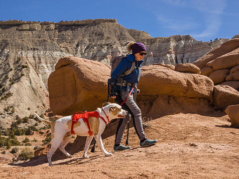 RUFFWEAR WEB MASTER SELE på hunique.dk