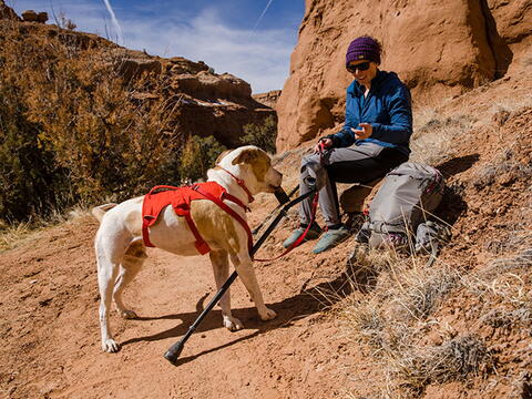 RUFFWEAR WEB MASTER SELE på hunique.dk