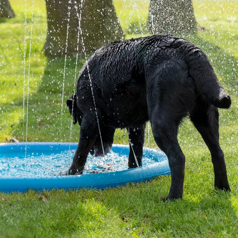 CoolPets Splash Pool Watersprinkler på hunique.dk