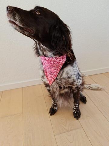 The Pink Bandana på hunique.dk