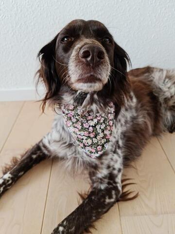 Vintage bandana - Str 1, Lyserød på hunique.dk