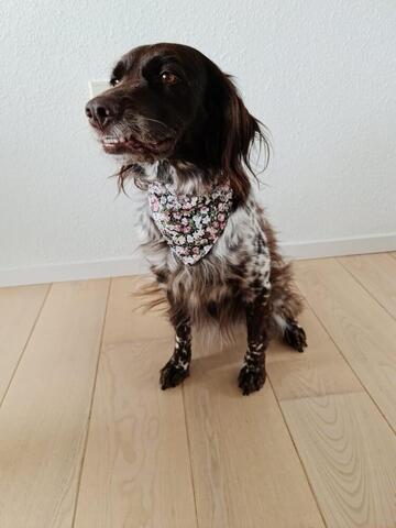 Vintage bandana - Str 1, Lyserød på hunique.dk