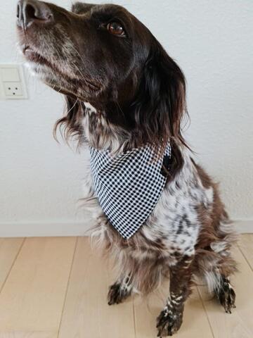 Black And White Bandana på hunique.dk