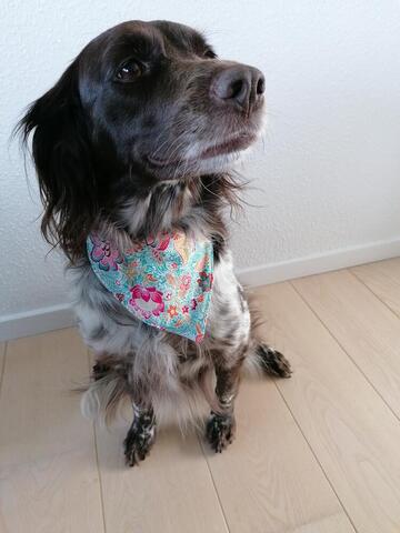 Flower Power Bandana på hunique.dk