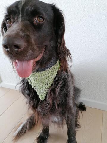 The Green Bandana på hunique.dk