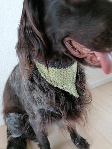 The Green Bandana på hunique.dk