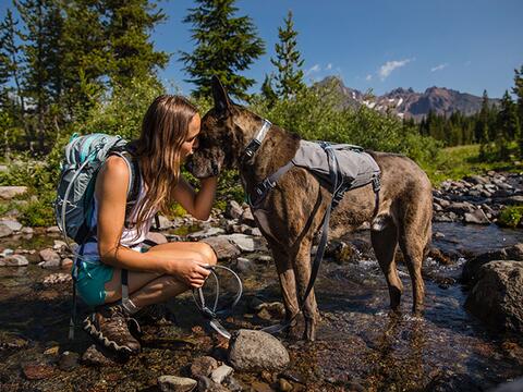 RUFFWEAR SWITCHBAK™ SELE - XS, Grå på hunique.dk