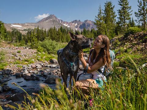 RUFFWEAR SWITCHBAK™ SELE - XS, Grå på hunique.dk