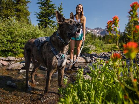 RUFFWEAR SWITCHBAK™ SELE - XS, Grå på hunique.dk