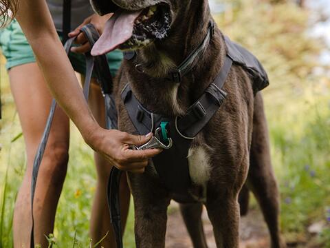 RUFFWEAR SWITCHBAK™ SELE - XS, Grå på hunique.dk