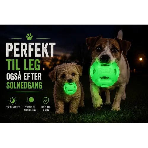 Chuckit Air Glow Fetch ball 1pk medium på hunique.dk