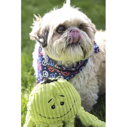 HuggleHounds Octopus-Lime Knotties på hunique.dk