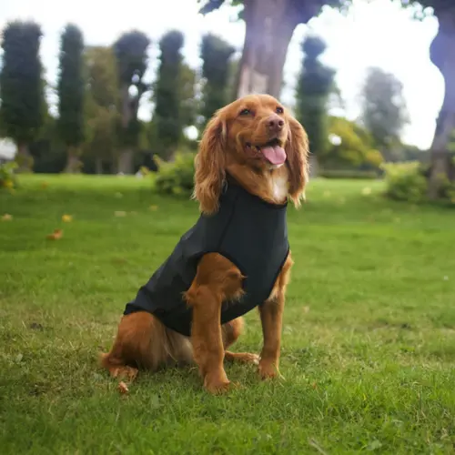 Pro-tect Dog Vest på hunique.dk