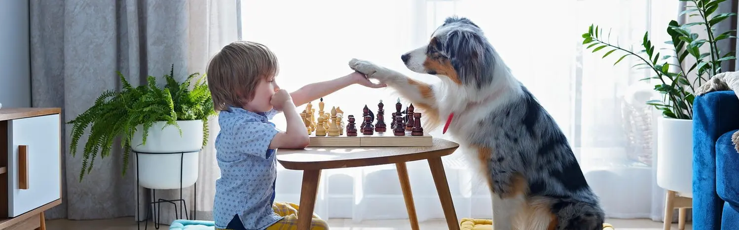 belønningslegetøj på hunique.dk